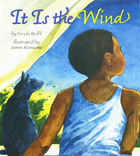 Beispielbild fr Houghton Mifflin Harcourt Journeys : Read Aloud Unit 4 BK 17 Grade K It Is the Wind zum Verkauf von Better World Books