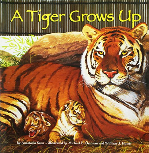 9780547010380: A Tiger Grows Up, Read Aloud Level K Unit 5 Book 22: Houghton Mifflin Journeys