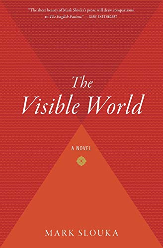 Beispielbild fr The Visible World: A Novel zum Verkauf von SecondSale