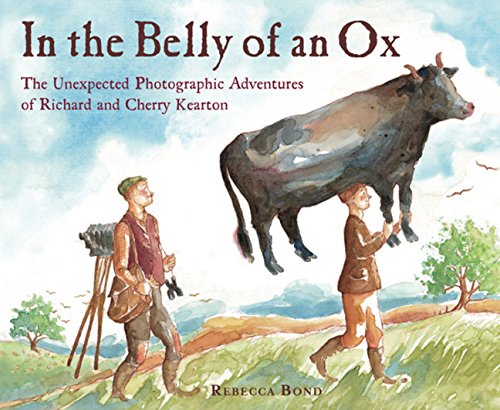 9780547076751: In the Belly of an Ox: The Unexpected Photographic Adventures of Richard and Cherry Kearton