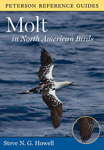 Stock image for Peterson Reference Guide To Molt In North American Birds (Peterson Reference Guides) for sale by New Legacy Books