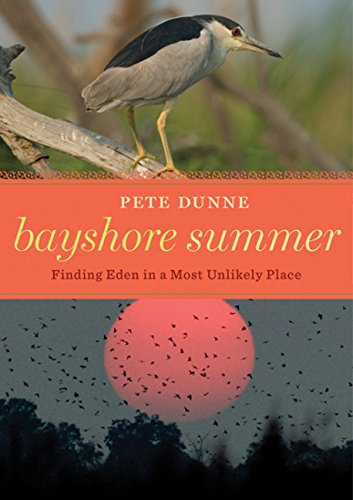 Imagen de archivo de Bayshore Summer: Finding Eden in a Most Unlikely Place a la venta por SecondSale