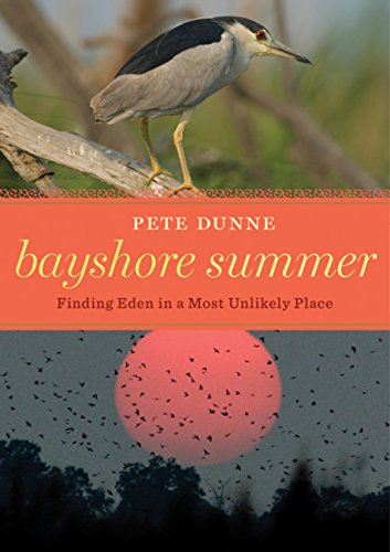 9780547195636: Bayshore Summer: Finding Eden in a Most Unlikely Place