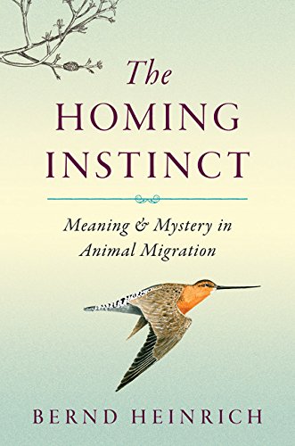 Imagen de archivo de The Homing Instinct: Meaning and Mystery in Animal Migration a la venta por Gulf Coast Books