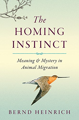 Stock image for The Homing Instinct: Meaning and Mystery in Animal Migration for sale by Gulf Coast Books