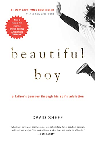 Beautiful Boy: A Father's Journey Through His Son's Addiction - David Sheff