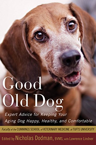 Beispielbild fr Good Old Dog: Expert Advice for Keeping Your Aging Dog Happy, Healthy, and Comfortable zum Verkauf von WorldofBooks