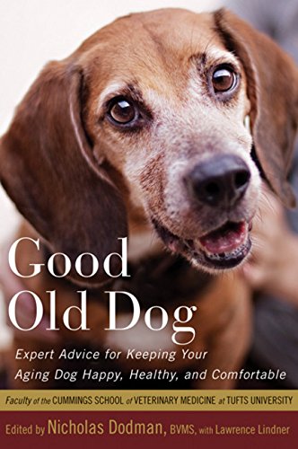 9780547232829: Good Old Dog: Expert Advice for Keeping Your Aging Dog Happy, Healthy, and Comfortable