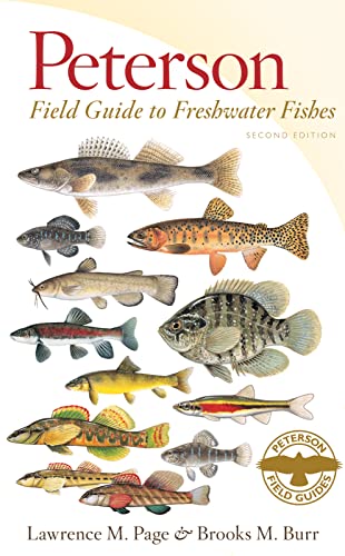 Beispielbild fr Peterson Field Guide to Freshwater Fishes, Second Edition (Peterson Field Guides) zum Verkauf von BooksRun