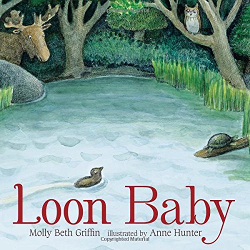 Stock image for Loon Baby for sale by HPB-Ruby