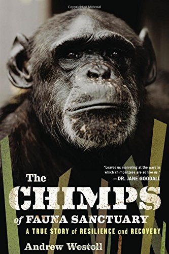 Beispielbild fr The Chimps of Fauna Sanctuary: A True Story of Resilience and Recovery zum Verkauf von SecondSale