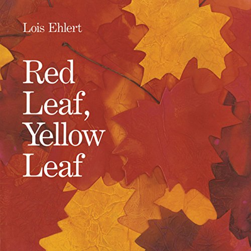 9780547328584: Red Leaf, Yellow Leaf