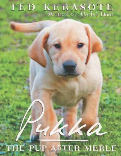 9780547386089: Pukka: The Pup After Merle