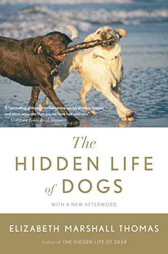 Stock image for The Hidden Life of Dogs for sale by SecondSale