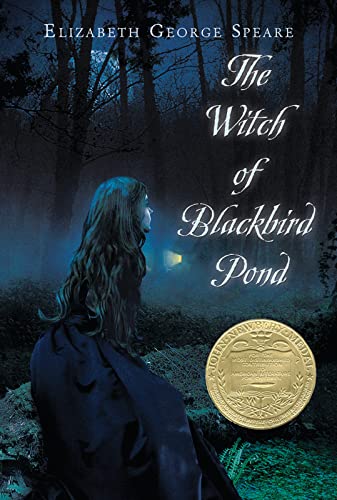 Stock image for The Witch of Blackbird Pond: A Newbery Award Winner for sale by WorldofBooks