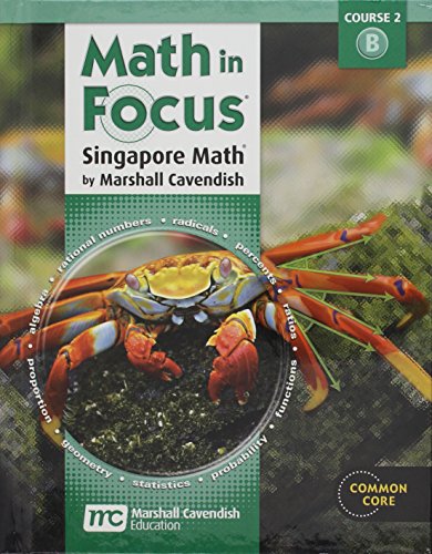 Beispielbild fr Math in Focus: Singapore Math : Student Edition Volume B 2013 zum Verkauf von Better World Books