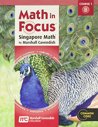 9780547560120: Math in Focus: Singapore Math Grade 7 (B): Volume B
