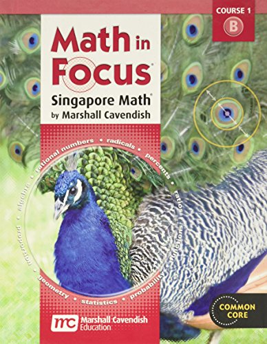 9780547560120: Math in Focus: Singapore Math Grade 7 (B)