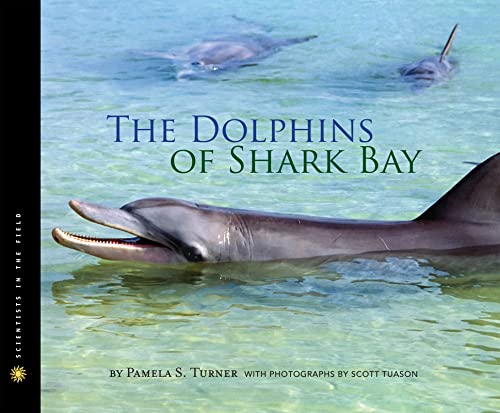 Beispielbild fr The Dolphins of Shark Bay zum Verkauf von Better World Books