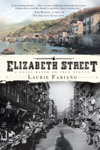 9780547744940: Elizabeth Street: A Novel Based on True Events