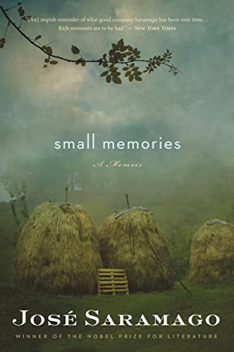 Beispielbild fr Small Memories zum Verkauf von ThriftBooks-Dallas