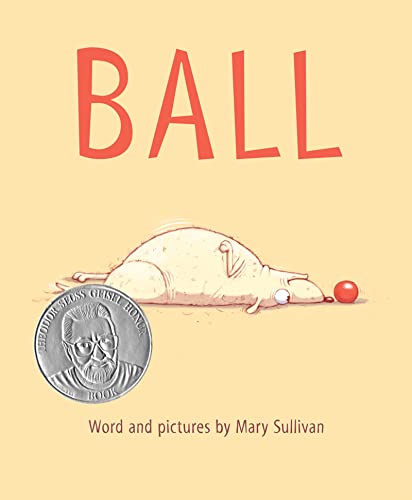 Beispielbild fr Ball zum Verkauf von Wonder Book