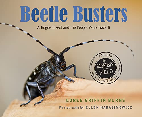 Stock image for Beetle Busters : A Rogue Insect and the People Who Track It for sale by Better World Books: West