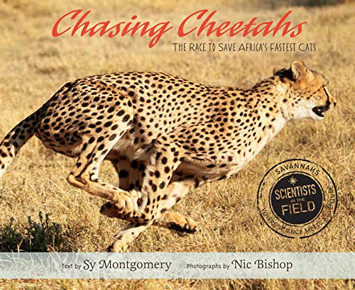 Imagen de archivo de Chasing Cheetahs: The Race to Save Africa's Fastest Cat (Scientists in the Field Series) a la venta por SecondSale