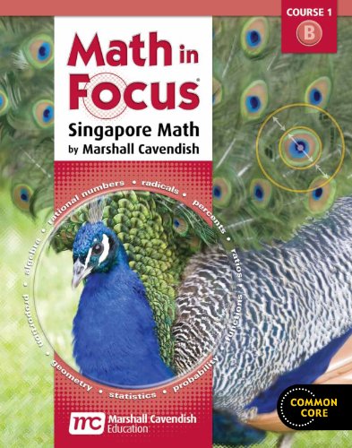 Stock image for Homeschool Package, 2nd semester Grade 6 2012 (Math in Focus: Singapore Math) for sale by HPB-Red
