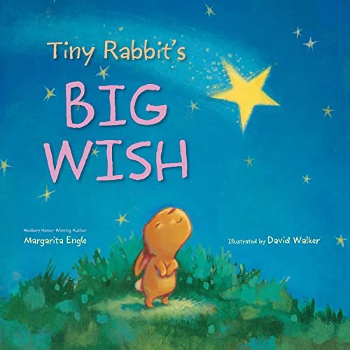 Stock image for Tiny Rabbit's Big Wish: An Easter And Springtime Book For Kids for sale by Orion Tech