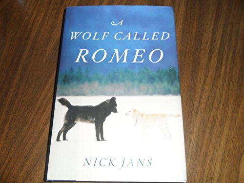 Stock image for A Wolf Called Romeo for sale by Dream Books Co.