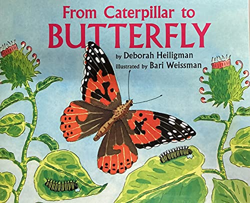 Imagen de archivo de From Caterpillar to Butterfly: Little Big Book Grade K (Journeys) a la venta por Jenson Books Inc