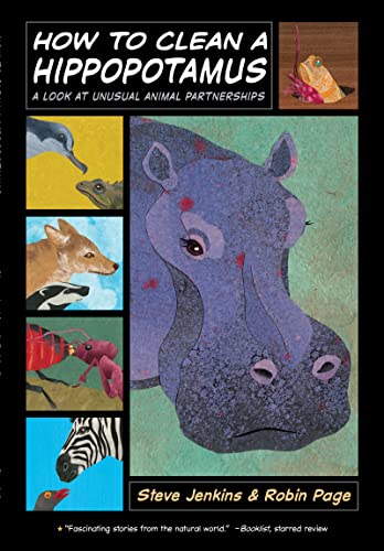 Imagen de archivo de How to Clean a Hippopotamus: A Look at Unusual Animal Partnerships a la venta por Jenson Books Inc