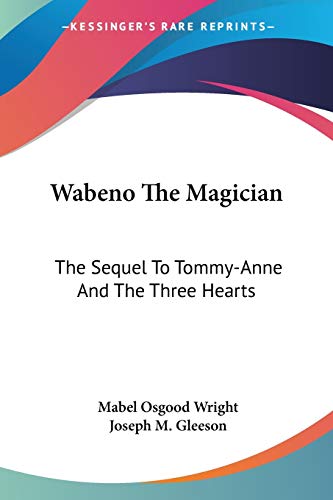 Wabeno The Magician: The Sequel To Tommy-Anne And The Three Hearts (9780548463697) by Wright, Professor Mabel Osgood