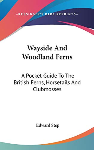 9780548539279: Wayside And Woodland Ferns: A Pocket Guide To The British Ferns, Horsetails And Clubmosses