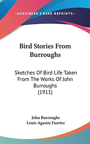 Bird Stories From Burroughs: Sketches Of Bird Life Taken From The Works Of John Burroughs (1911) (9780548975954) by Burroughs, John