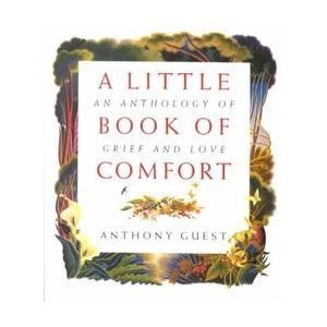 Beispielbild fr Little Book of Comfort zum Verkauf von Wonder Book