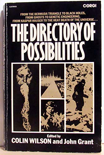 9780552119948: Directory of Possibilities