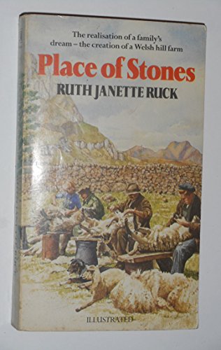 Stock image for Place of Stones for sale by WorldofBooks