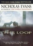 Imagen de archivo de The Loop a la venta por WorldofBooks