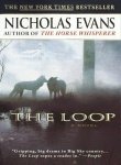 Stock image for The Loop for sale by WorldofBooks
