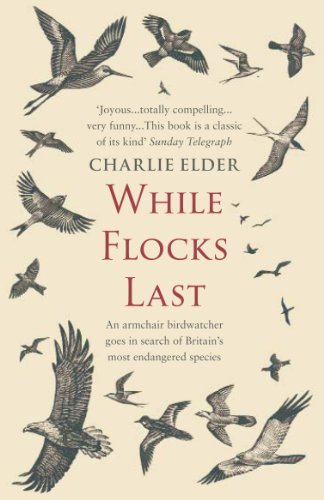 Beispielbild fr While Flocks Last: An Armchair Birdwatcher Goes in Search of Our Most Endangered Species zum Verkauf von WorldofBooks