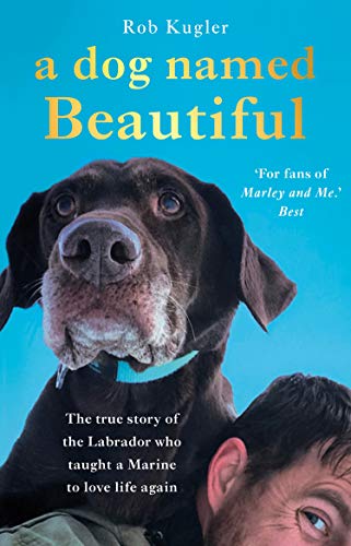 Stock image for A Dog Named Beautiful: The true story of the Labrador who taught a Marine to love life again for sale by HPB-Diamond