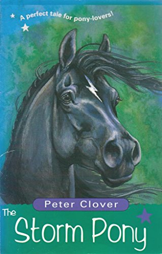 Imagen de archivo de The Storm Pony a la venta por WorldofBooks