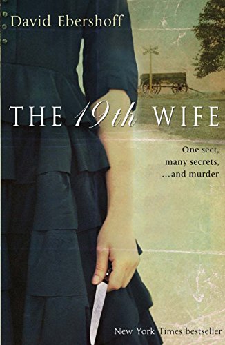 9780552774987: The 19th Wife