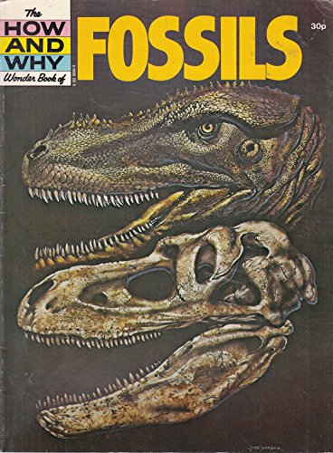 Fossils (How & Why) (9780552865647) by J. Burton