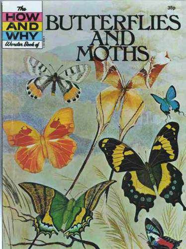 Stock image for The How and Why Wonder Book of BUTTERFLIES AND MOTHS for sale by Stephen Dadd