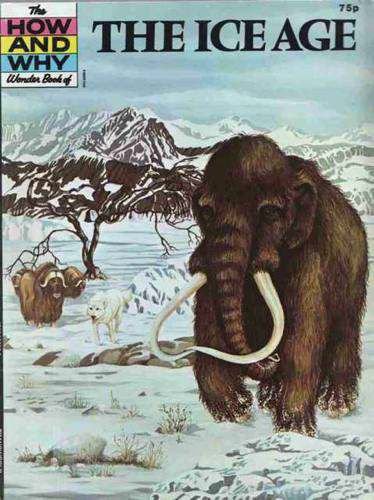 Ice Age (How & Why) (9780552866002) by Roy Woodcock