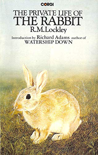 9780552980012: The private life of the rabbit: An account of the life history and social behaviour of the wild rabbit (A Survival book)