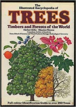 Stock image for The Illustrated Encyclopedia of Trees. Timbers and Forests of the World for sale by Yare Books